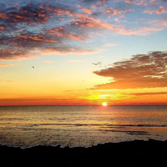 Meet your Posher, Lauren - Picture 1 of 1